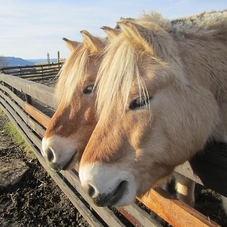 Langedrag Naturpark As Tunhovd Eksteriør bilde