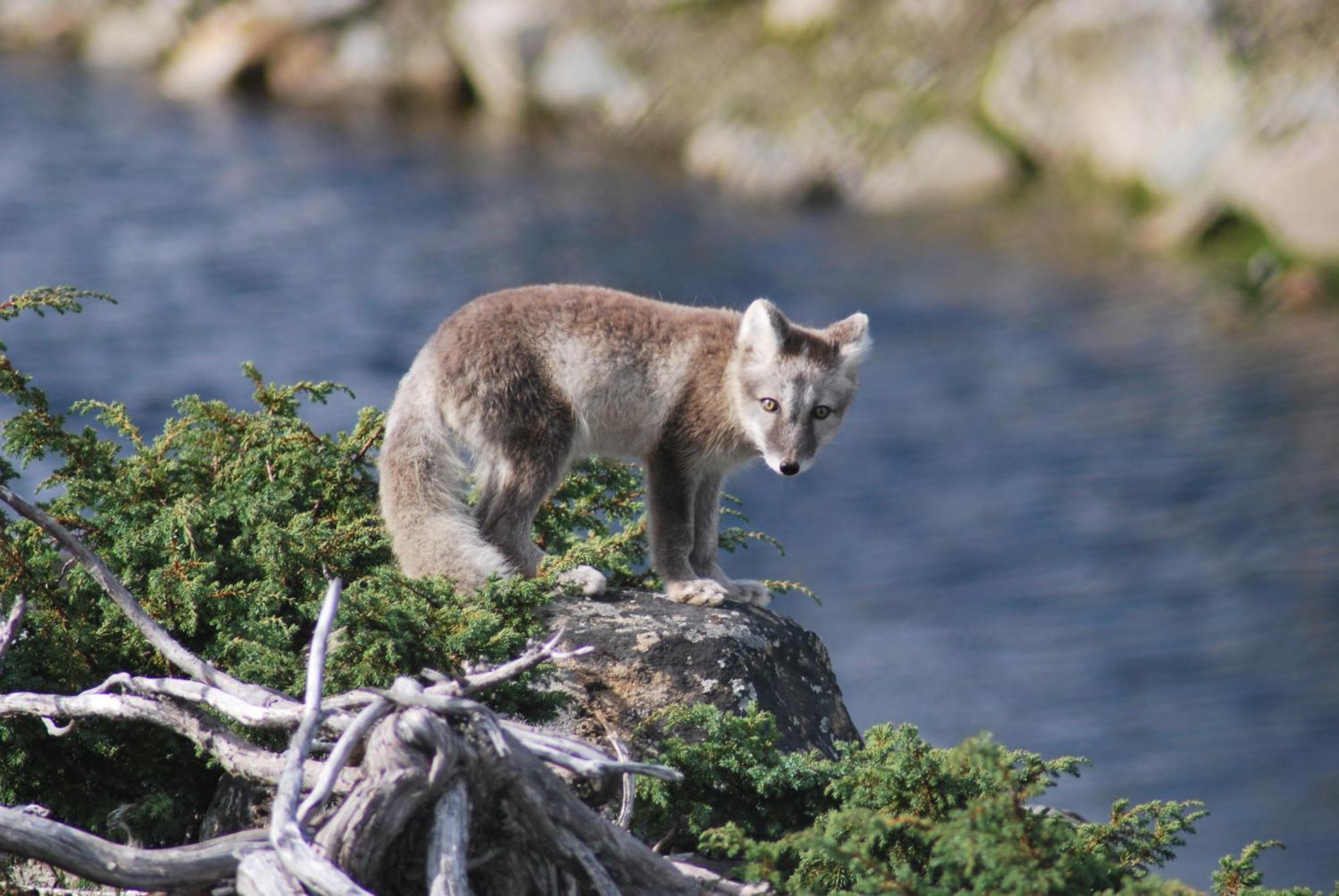 Langedrag Naturpark As Tunhovd Eksteriør bilde